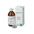 Loracef pfs 100 ml - https://www.upokar24.com
